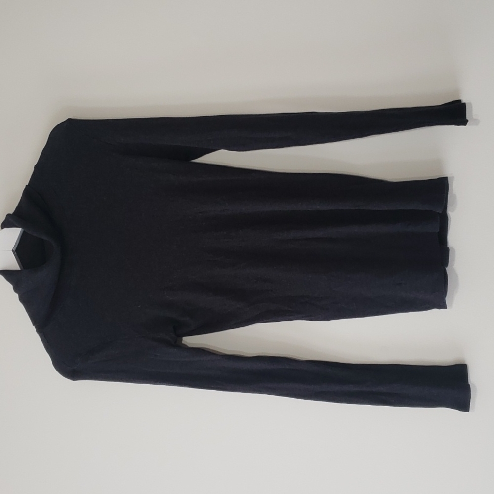 Aritzia Babaton Turtleneck